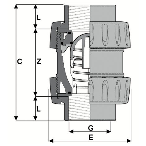 1V231 - True union spring check valve