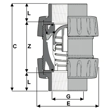 1V231 — True union spring check valve, BSP female threaded socket