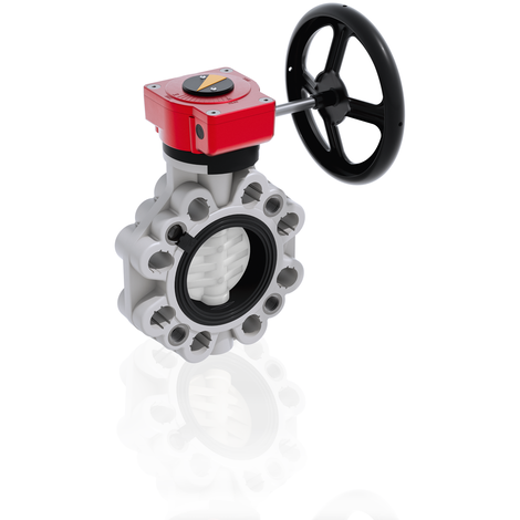 FKOF/RM LUG ANSI - Butterfly valve - PVDF Manual valves