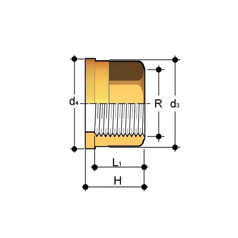 Q/BFO - Brass union end - PP-H Pressure Fittings