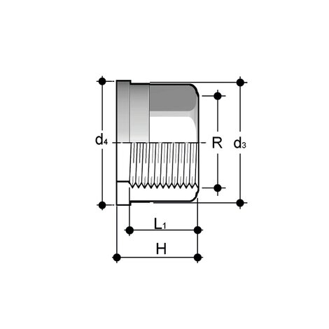 Q/BFX - SS A316L union end - PP-H Pressure Fittings